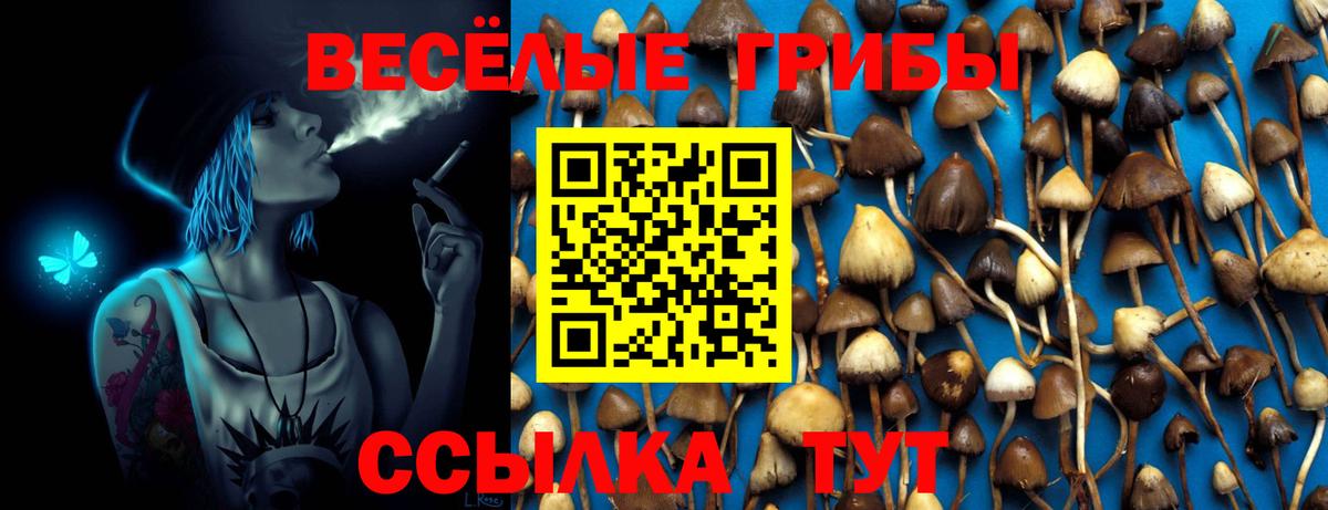 Галлюциногенные грибы Magic Shrooms Свободный
